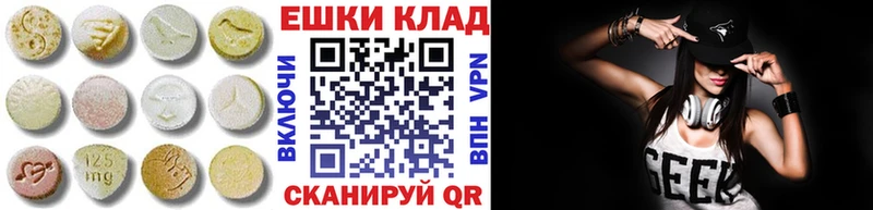 ЭКСТАЗИ Philipp Plein цены Заволжск