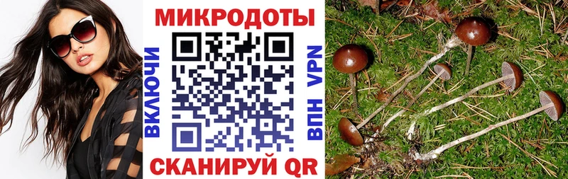 Псилоцибиновые грибы Psilocybe МЕГА маркетплейс Заволжск